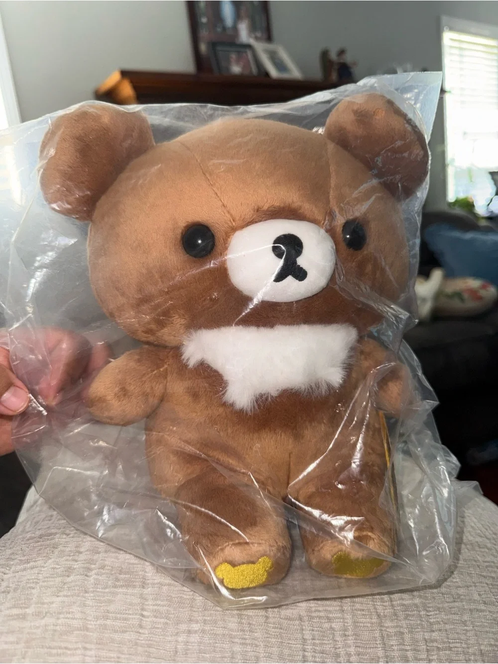 Authentic San-X Chairoikoguma Bear Plush Stuffed Toy Medium